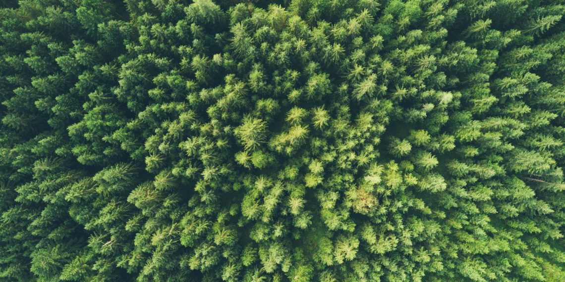 Economic Policies for Environmental Protection: What Works and What Doesn’t?