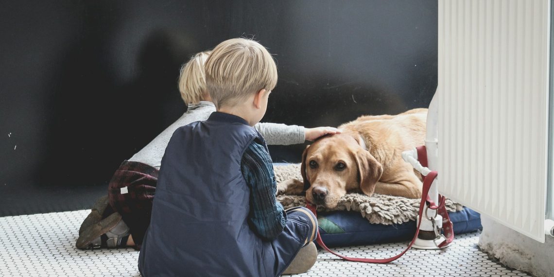 The Impact of Diet on Pet Health: What You Need to Know