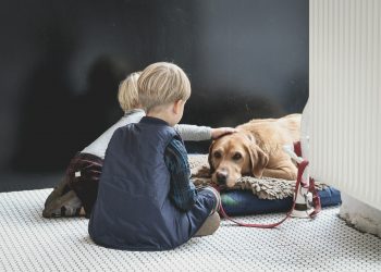 The Impact of Diet on Pet Health: What You Need to Know