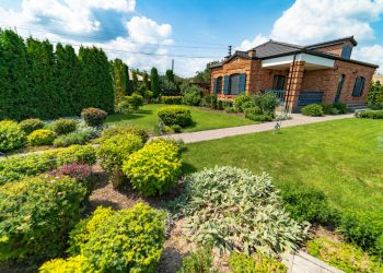 How to Choose the Right Commercial Landscaper for Your Business