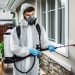 Pest Inspection When Purchasing a Home