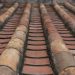 Why Choose a Specialized Commercial Roofing Contractor for Maintenance?