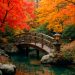 Japan Autumn 2025: Best Fall Foliage Spots & Festivals
