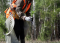 Why Stump Grinding Service Is Essential for a Safe and Beautiful Yard