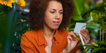 Guide to Legal Cannabis Delivery in Yonkers